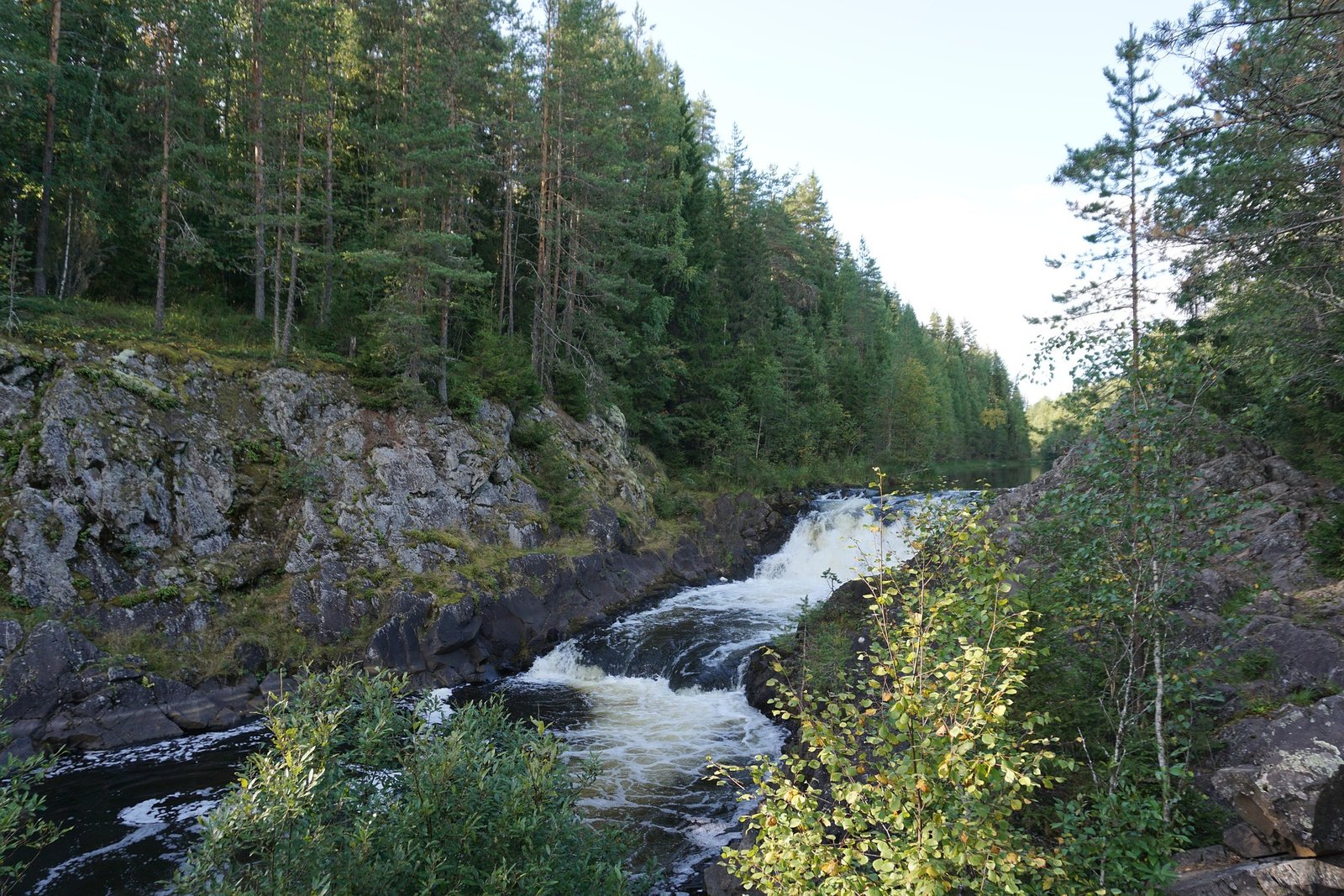 Petro Zavodsk